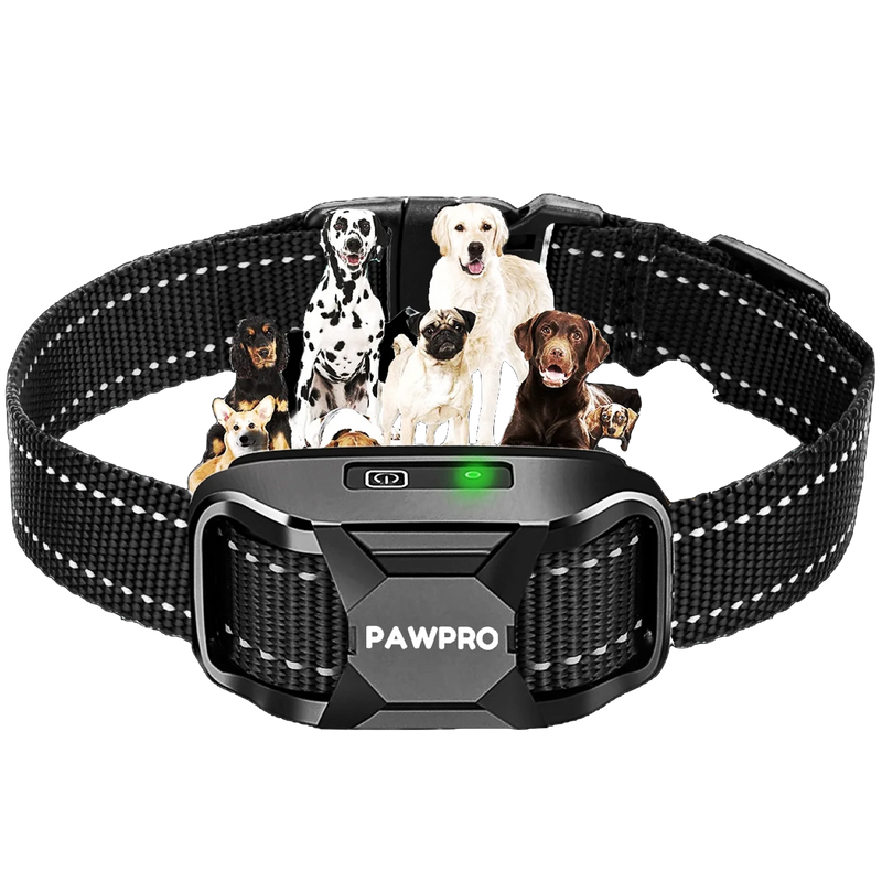 1000 M Hundetrainingshalsband Mit Piep & Vibration Wasserdicht, Inkl. Fernbedienung Hundehalsband Echt Leder 1000 M Hundetrainingshalsband Mit Piep & Vibration Wasserdicht, Inkl. Fernbedienung Hundehalsband Echt Leder