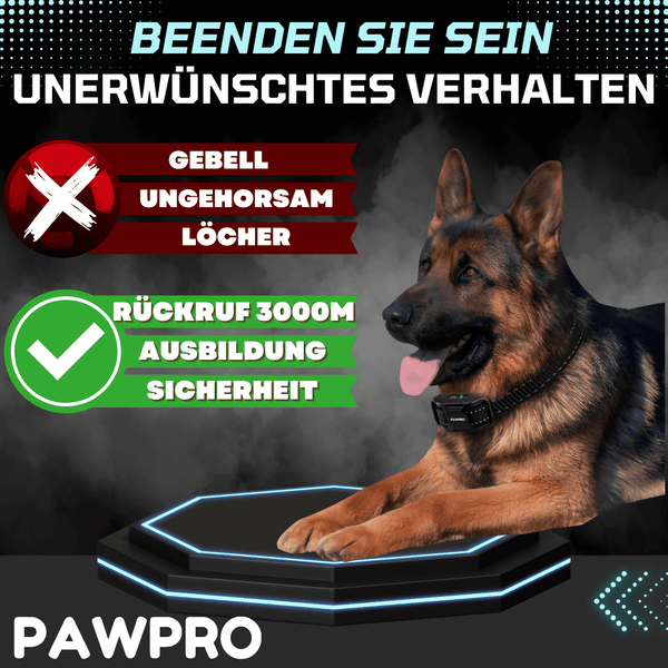 Hunde Erziehungshalsband Gem Dem Gesetz Konform - ALPHA 1-Modell PAWPRO Hunde Erziehungshalsband Gem Dem Gesetz Konform - ALPHA 1-Modell PAWPRO