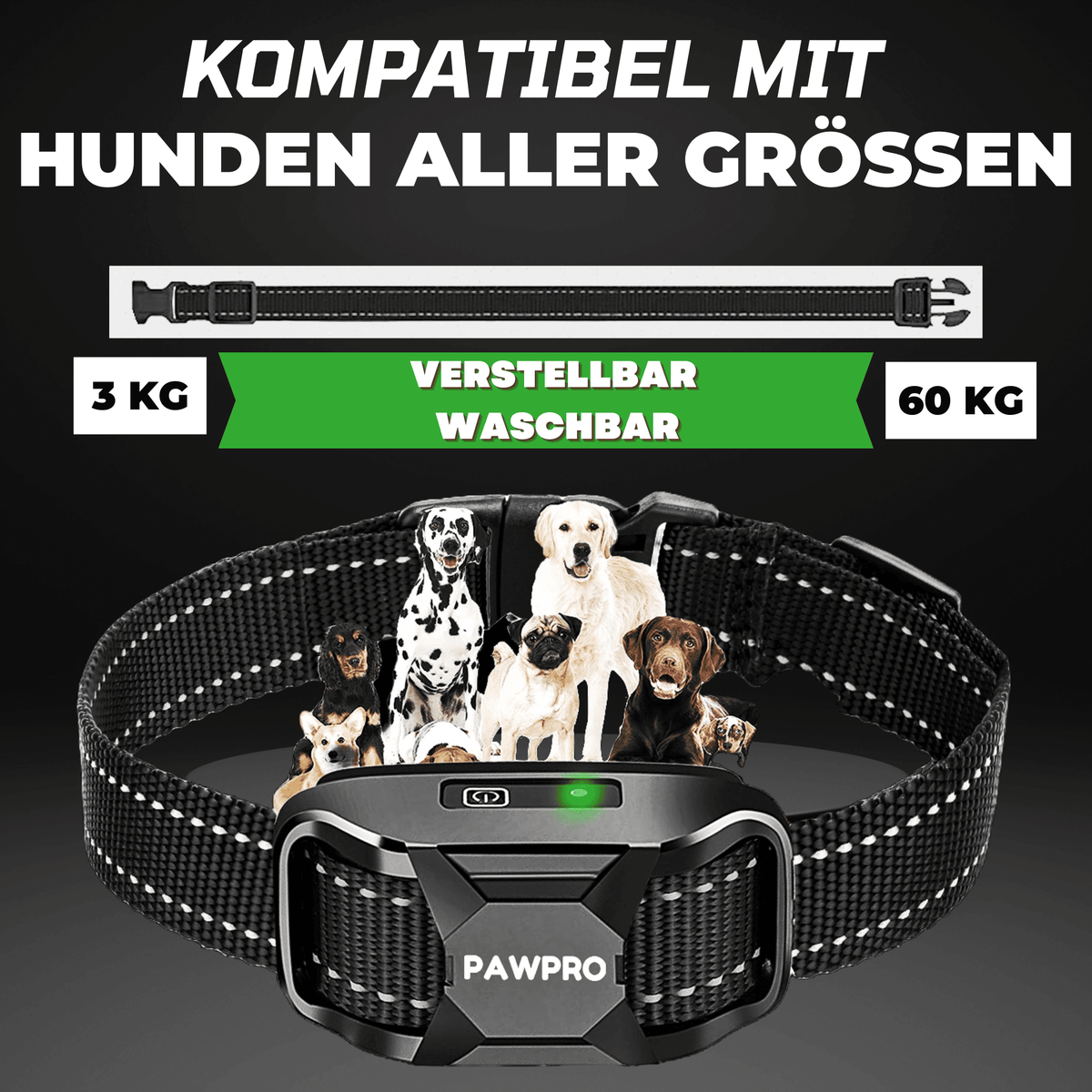 Wunderbar Erziehungshalsband Fr Hunde Ebenbild