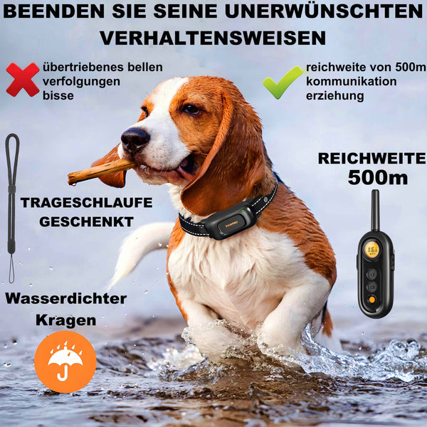 Hundehalsband Modell PP6-A | PAWPRO Hundehalsband Modell PP6-A | PAWPRO