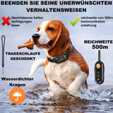 PAWPRO PP6 - Premium Erziehungshalsband für Hunde