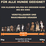 PAWPRO PP6 - Premium Erziehungshalsband für Hunde